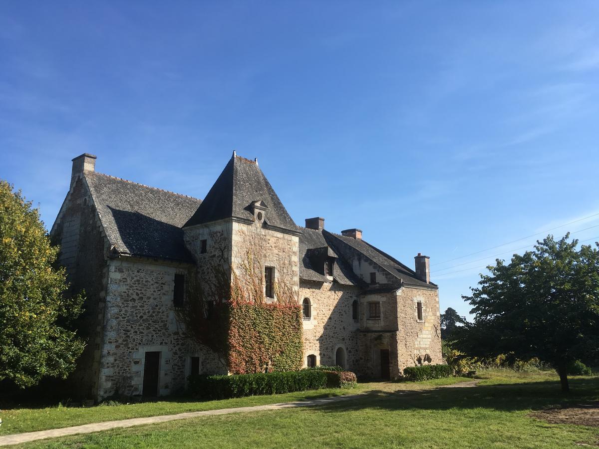 Manoir De Jouralem Bed & Breakfast Blaison Eksteriør bilde